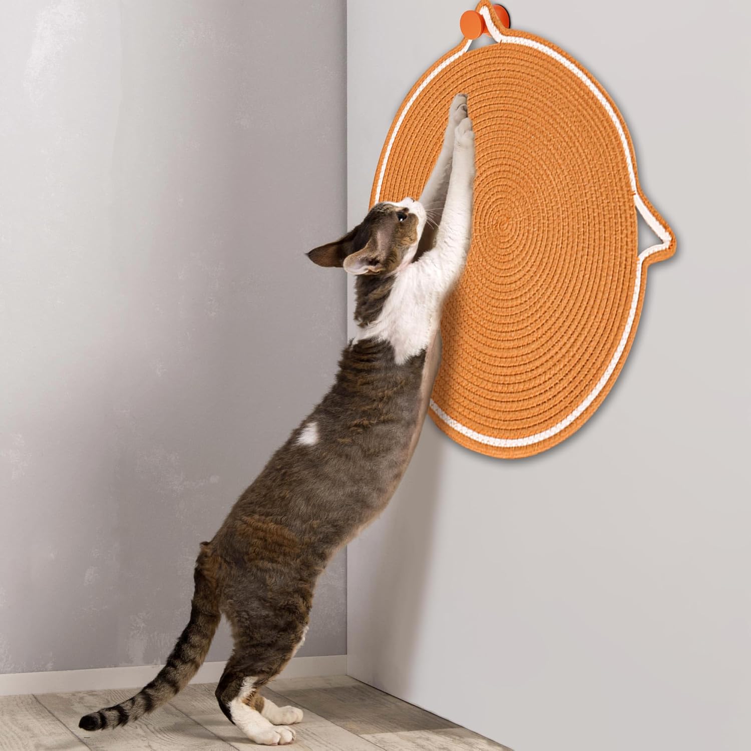 ClawMat – Scratching fun for your cat, protection for your home!