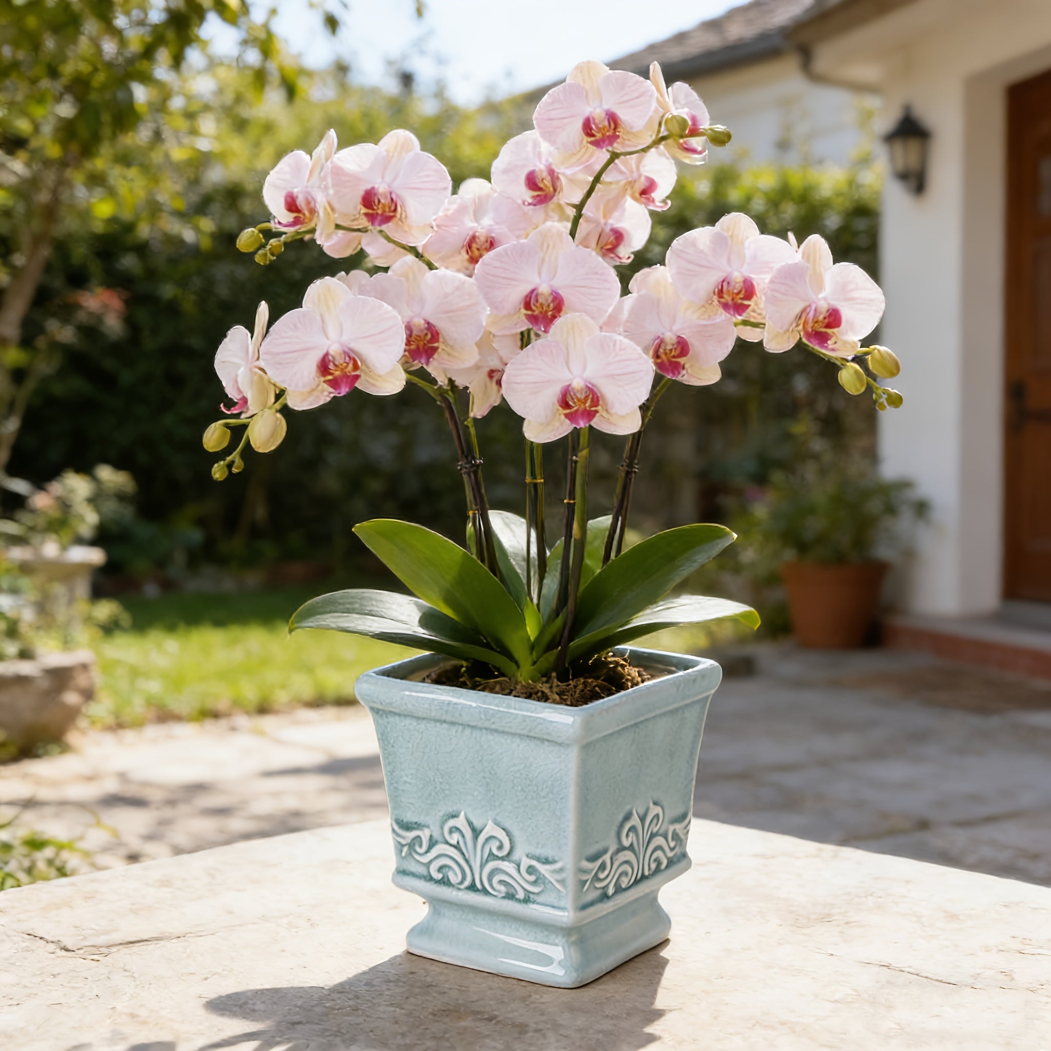 Rustic Elegance – Chic Ceramic Planter for Indoor Greens