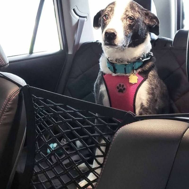 Pet Safety Barrier with Smart Storage for Every Journey