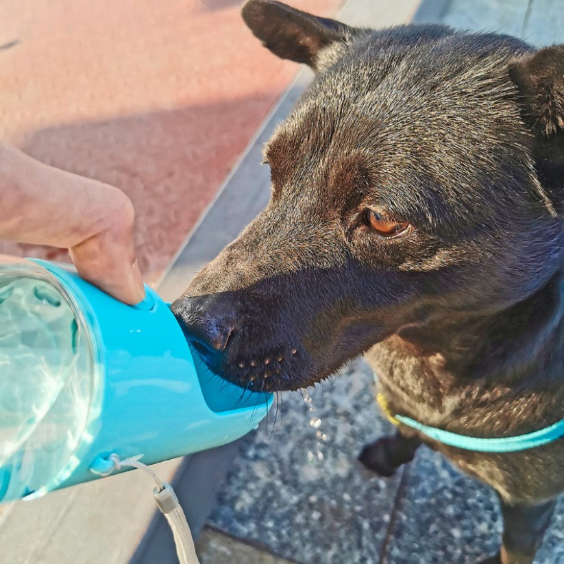 Portable Pet Water Bottle with Snack Compartment and Waste Bag Holder