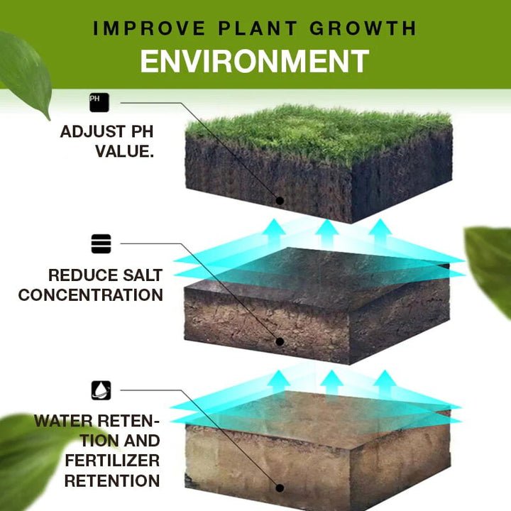 BloomPulse™ — Ignite Vibrant Growth and Transform Your Garden in Just Days