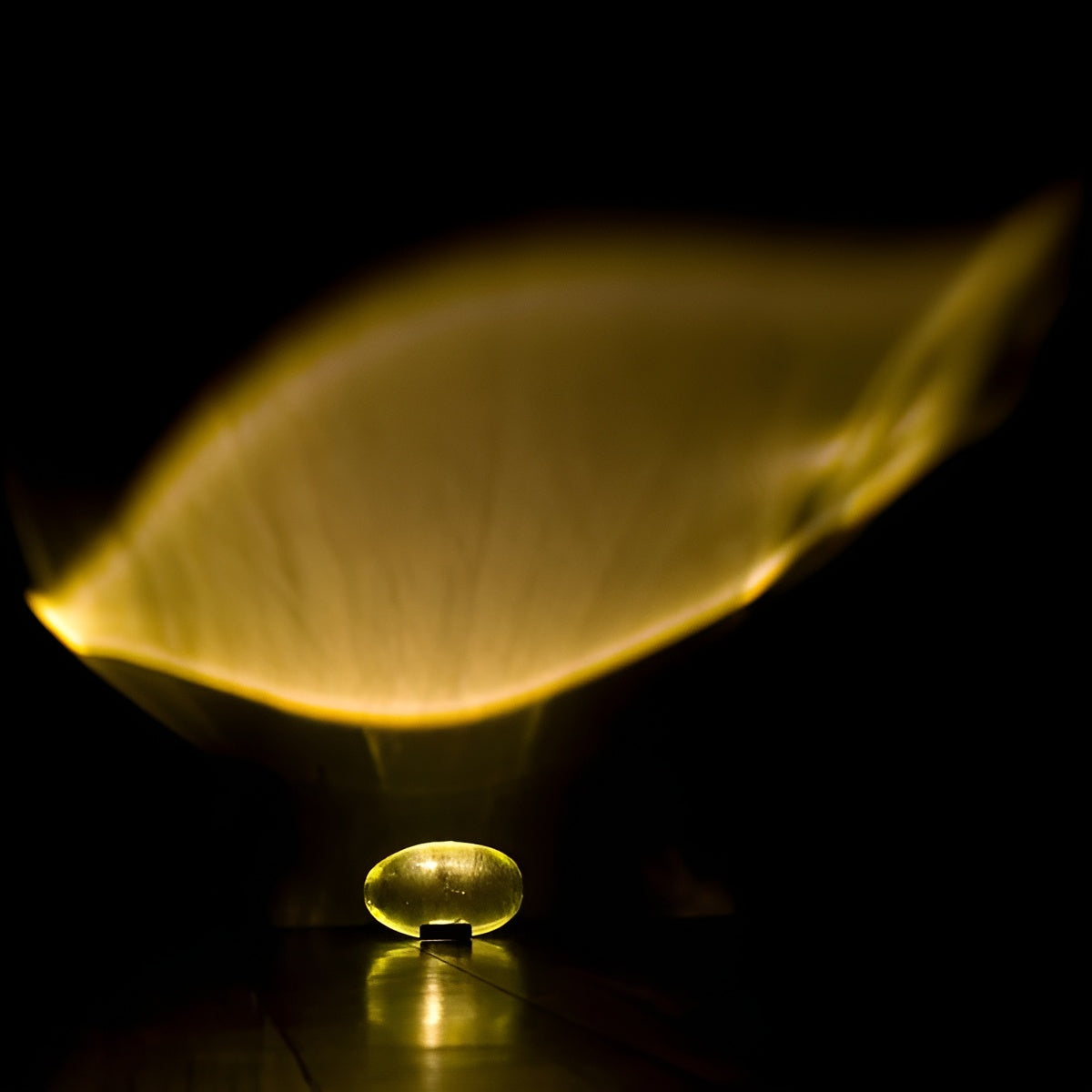 Oval Shaped Table Lamp with Warm Ambient Glow