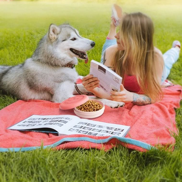 Collapsible Travel Pet Bowl for Outdoor Use