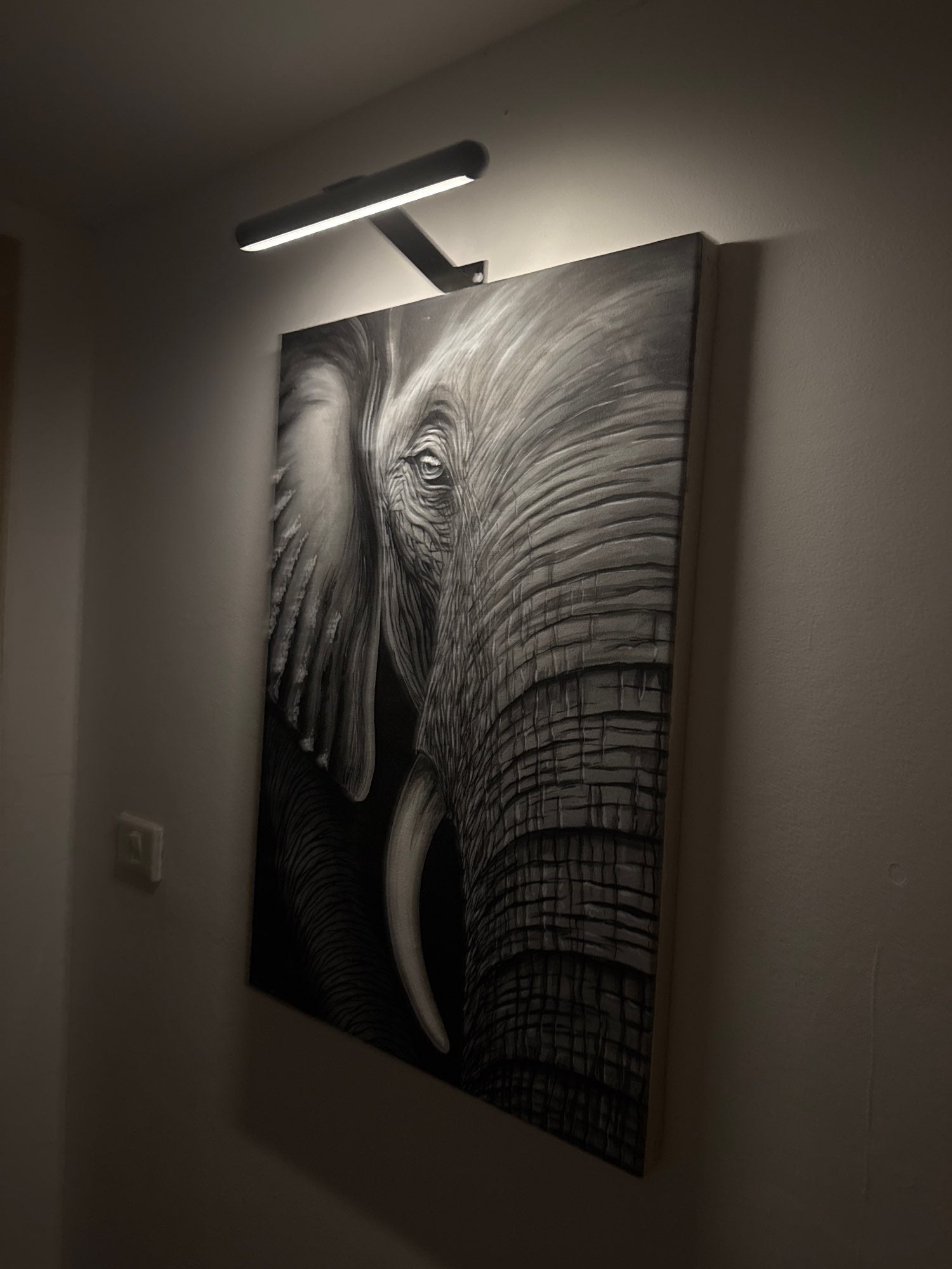 Wireless LED Art Light – Wall Lamp with Adjustable Display Illumination