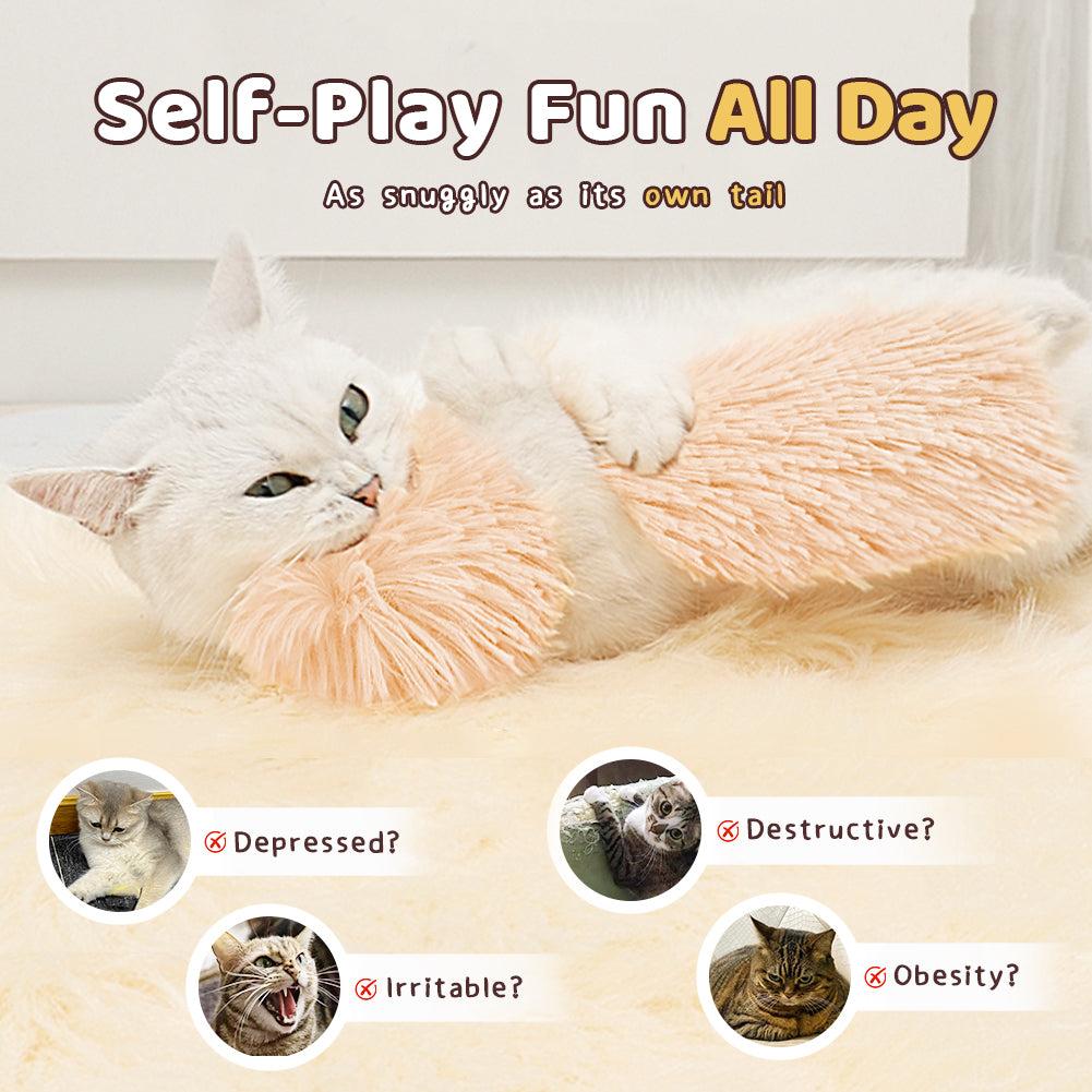 HappyPaw – Play, Fun & a Happy House Cat!