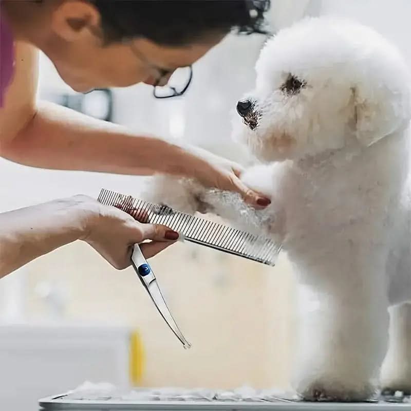 Pet Grooming Scissors Set for Dogs and Cats