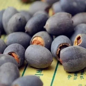 RainbowLotus™ — Transform Any Pond Into a Magical, Colorful Sanctuary That Attracts Life and Joy