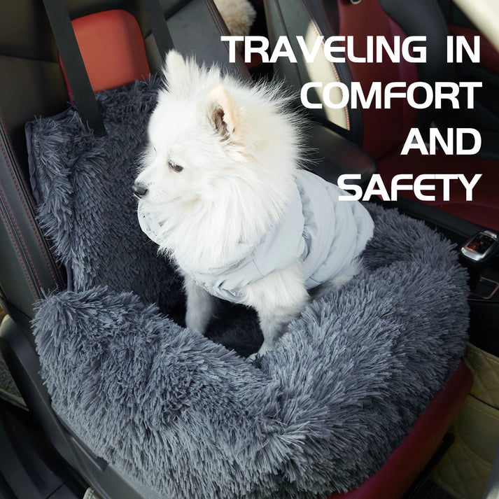 CarPaw – Travel safely & relaxed with your dog!