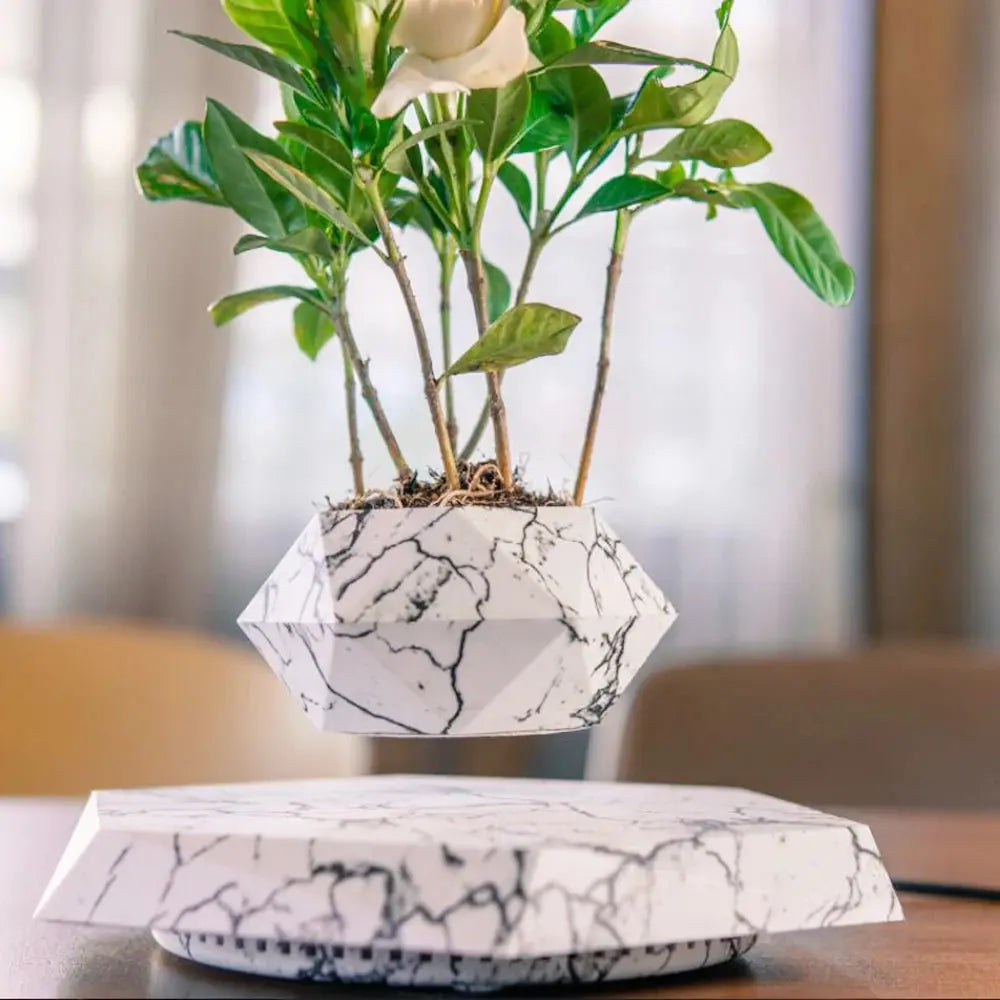 Flower Planter | Rotates 360° | Artistic, Floating Design | AeroPlant