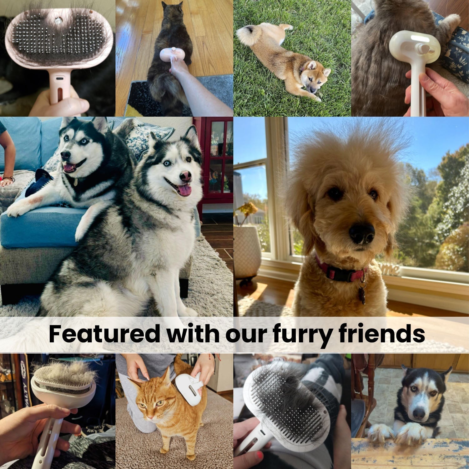 VitaPet™ SteamBrush — Transform Grooming into a Calming, Shed-Free Spa Moment