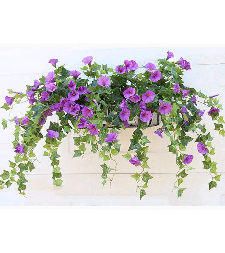 BloomVista™ — Effortless, Vibrant Blooms That Brighten Every Moment