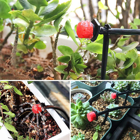 AquaPulse™ — Effortless Precision Watering for Lush, Thriving Gardens