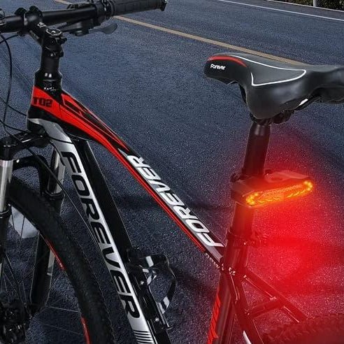 Enhanced Bicycle Tail Light with Security Alarm System