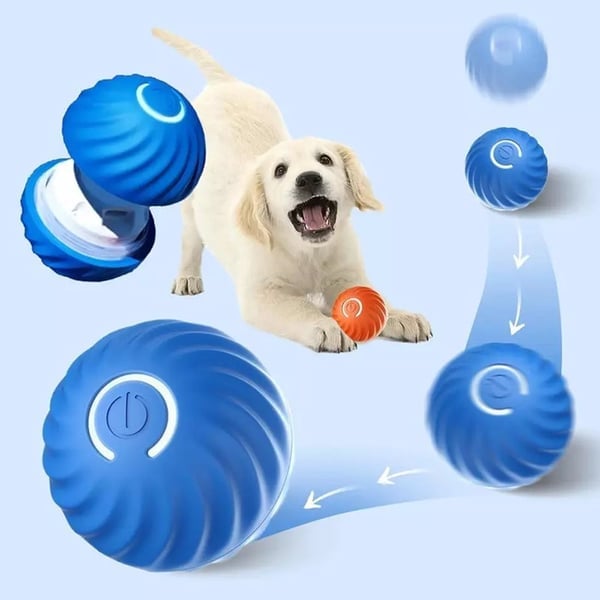 ChaseSpark™ — Ignite Your Dog’s Wild Instinct for Endless Play and Pure Joy
