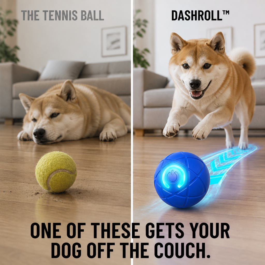 DashRoll™ — Tire Out Your Dog's Energy Hands-Free While You Work