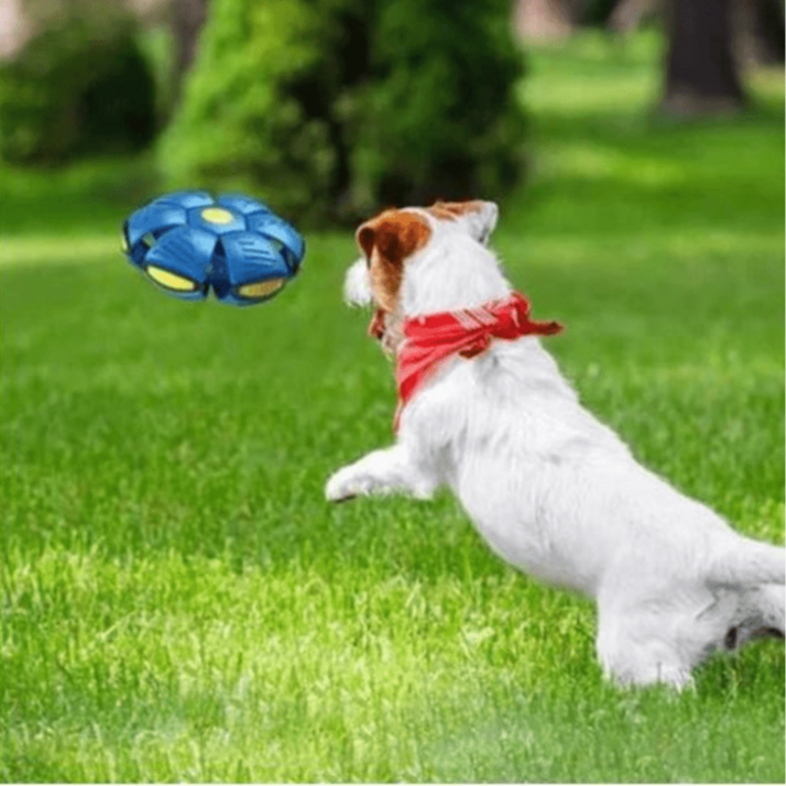Interactive 2-in-1 Dog Toy for Endless Fun