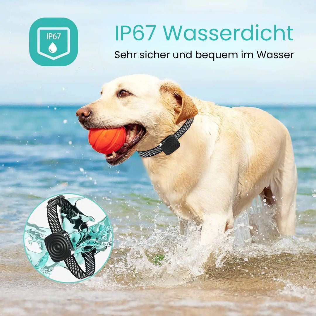 CalmCanine Collar | Gentle Bark Control Device for Dogs