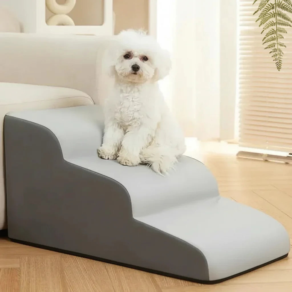 Stylish Companion Steps for Effortless Access