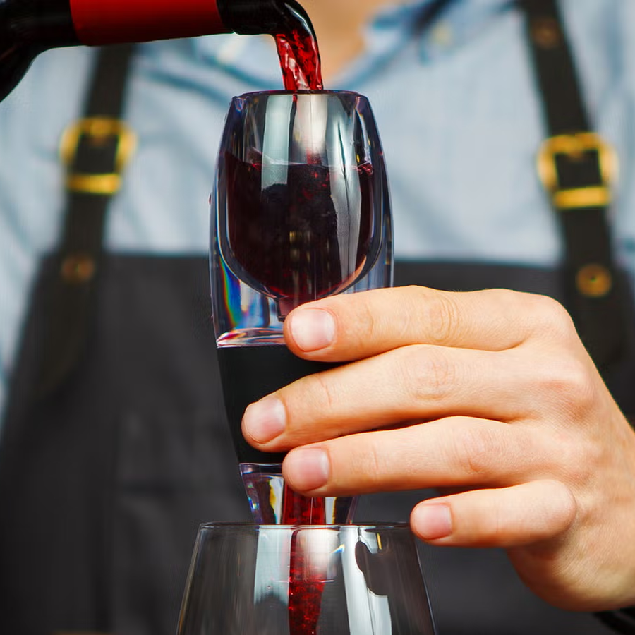 Elegant Wine Aerator Ensemble with Stand and Filter System