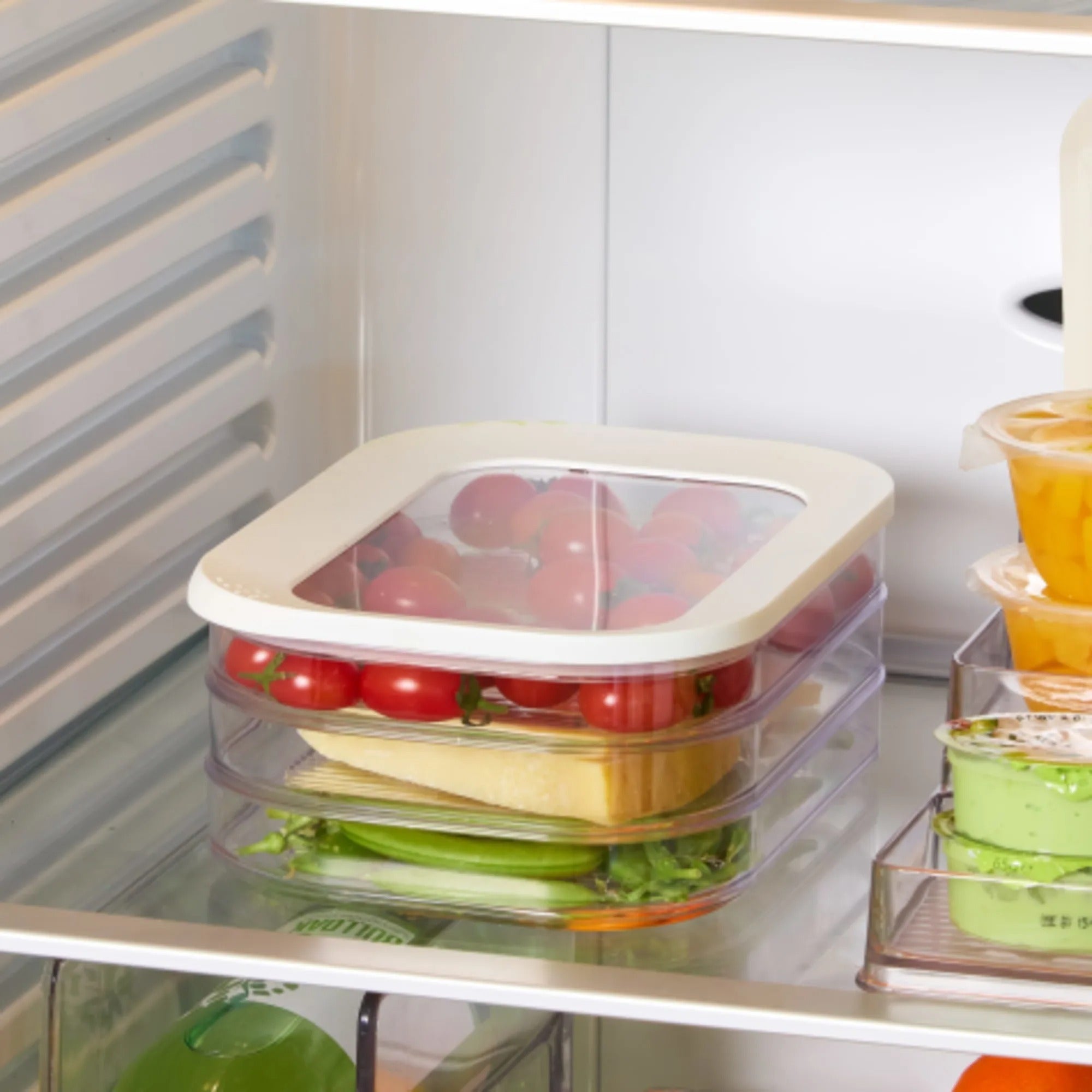 ClearSeal Meat Storage Container – Freshness Guaranteed