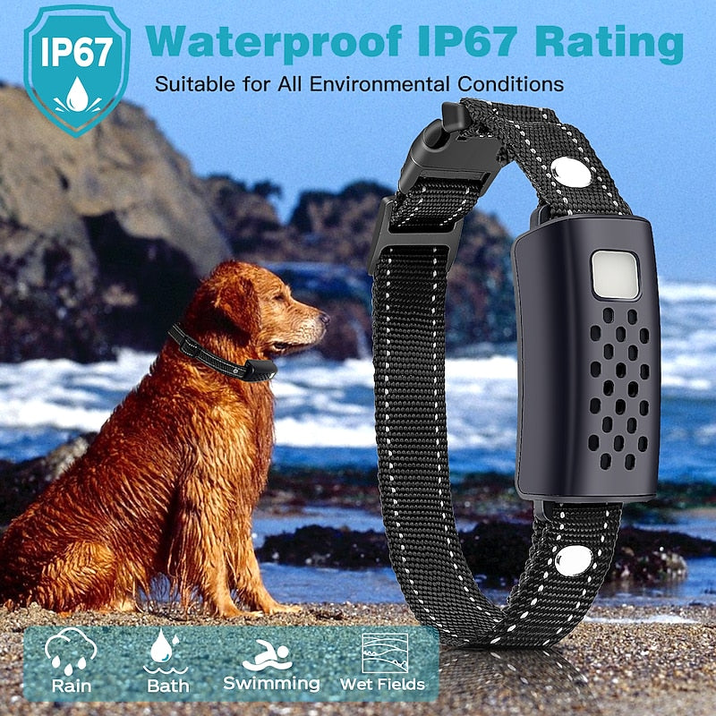 Pro Dog Training Collar with 2000-Metre Control Distance