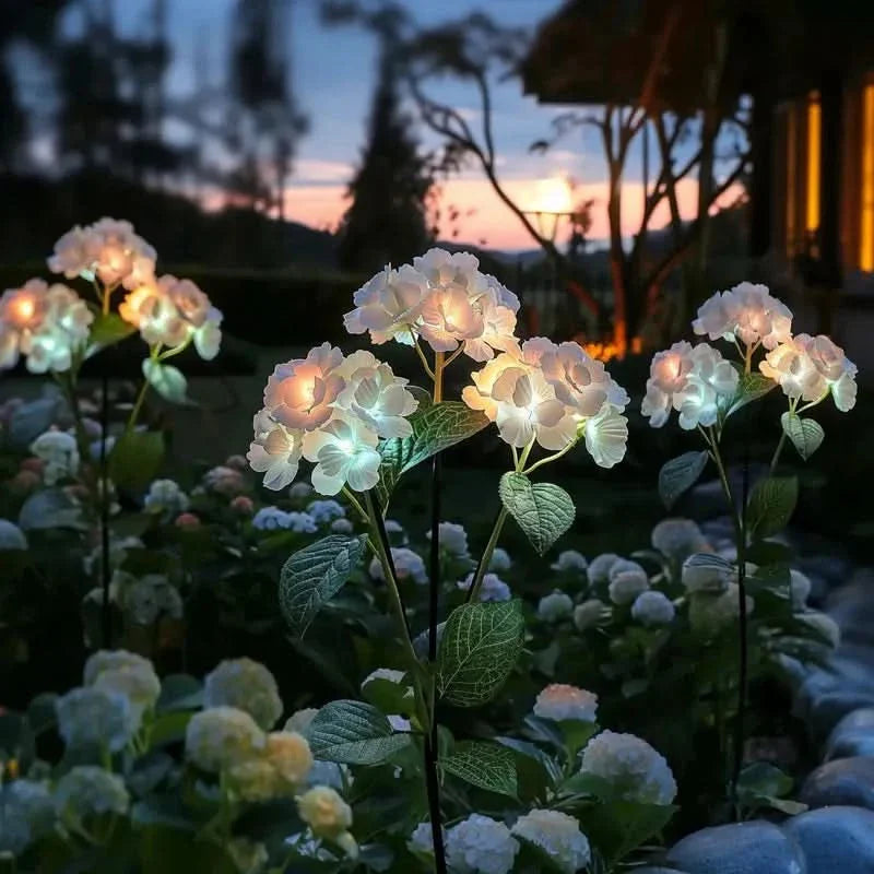 Elegant Outdoor Hydrangea Decor for a Radiant Ambiance