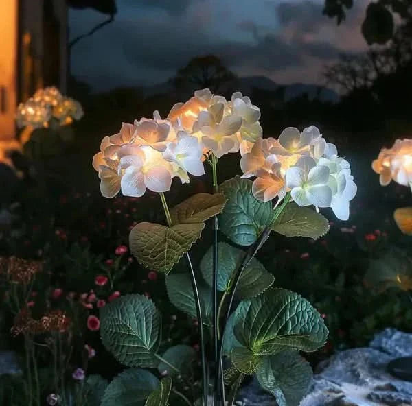 Elegant Outdoor Hydrangea Decor for a Radiant Ambiance