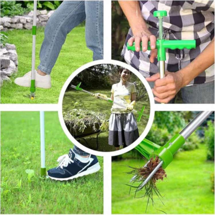 Effortless Weed Extraction Tool for Your Garden