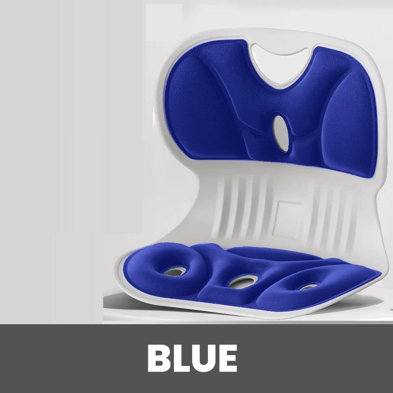 Ergonomic Comfort Cushion for Office Chairs | BackEasePro