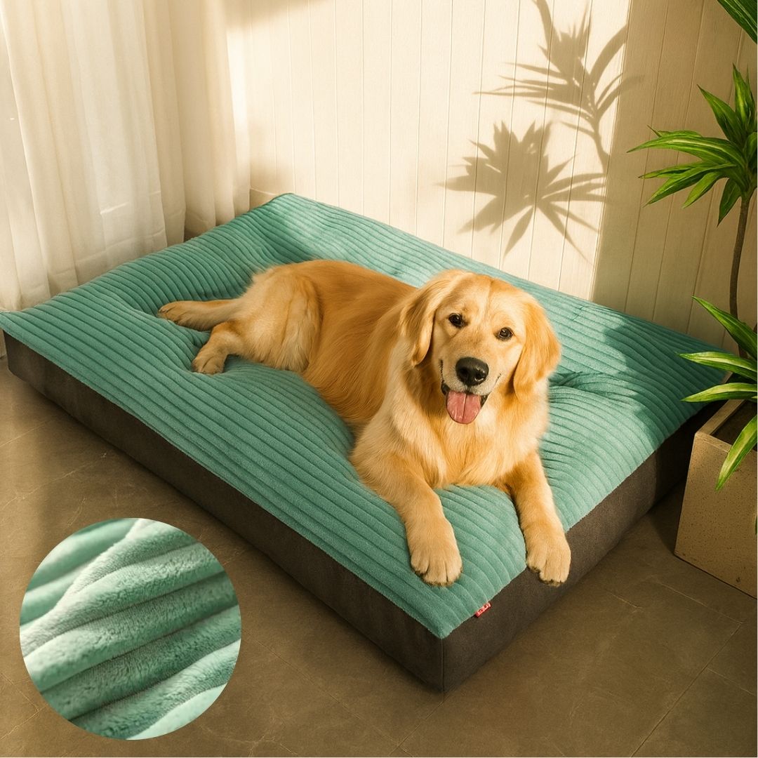 ComfortNest Orthopedic Dog Bed for All Breeds